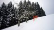 20090107-skilift-eggiwil-0229.jpg
