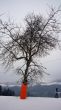 20090107-skilift-eggiwil-0237.jpg