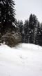 20090107-skilift-eggiwil-0254.jpg