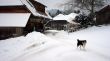 20090107-skilift-eggiwil-0258.jpg