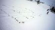 20090107-skilift-eggiwil-0265.jpg