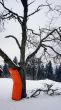 20090107-skilift-eggiwil-0280.jpg