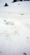 20090107-skilift-eggiwil-0284.jpg