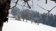 20090107-skilift-eggiwil-0312.jpg