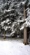 20090107-skilift-eggiwil-0331.jpg