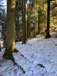 20211221-eggiwil-netschbuehl-6292.jpg