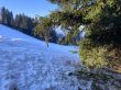 20211221-eggiwil-netschbuehl-6293.jpg