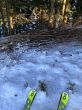 20211221-eggiwil-netschbuehl-6295.jpg