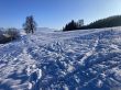 Dateiname=20211221-eggiwil-netschbuehl-6318.jpg
Dateigröße=571KB
Abmessungen: 1600x1200
hinzugefügt am: 21. Dezember 2021 20211221-eggiwil-netschbuehl-6318.jpg