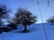 20211221-eggiwil-netschbuehl-6375.jpg