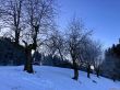 20211221-eggiwil-netschbuehl-6401.jpg