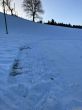 20211221-eggiwil-netschbuehl-6411.jpg