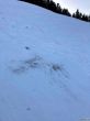 20211221-eggiwil-netschbuehl-6423.jpg