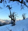 20211221-eggiwil-netschbuehl-6428.jpg