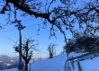 20211221-eggiwil-netschbuehl-6429.jpg
