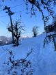 20211221-eggiwil-netschbuehl-6430.jpg