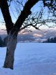 20211221-eggiwil-netschbuehl-6431.jpg