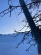 20211221-eggiwil-netschbuehl-6443.jpg