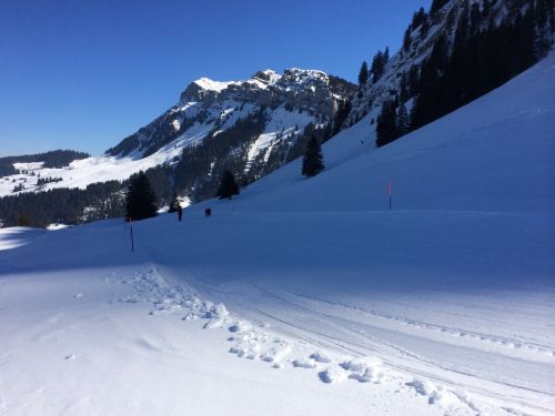 Auf der blauen Piste "hintenrum"
