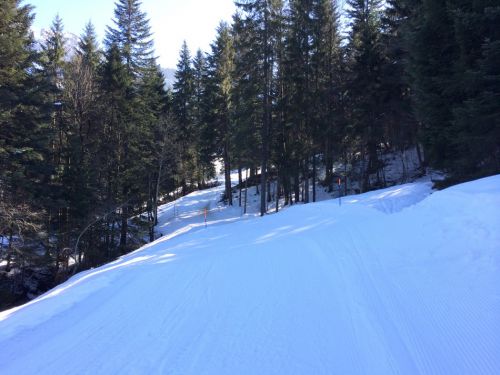 8. März 2014
