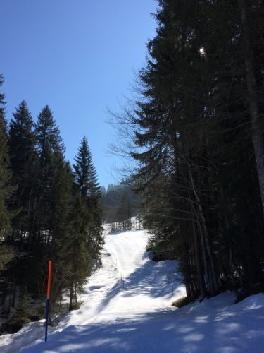 8. März 2014
