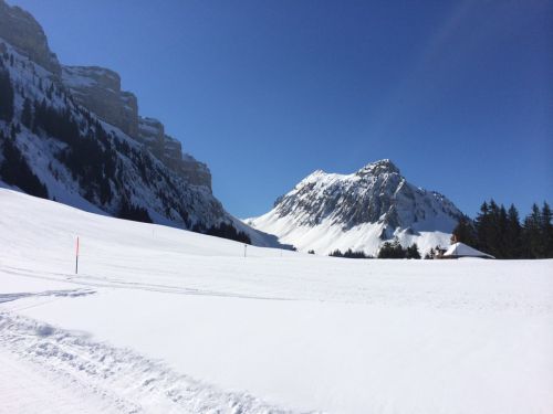 8. März 2014
