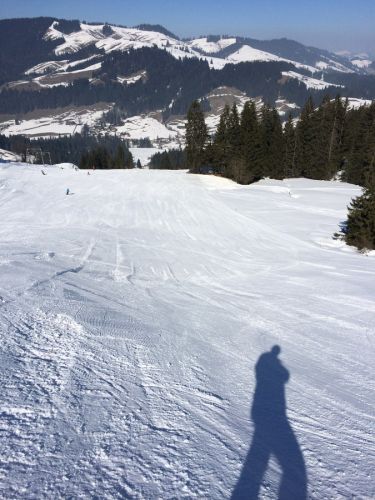 8. März 2014
