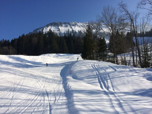 8. März 2014
