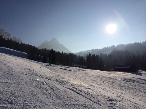 8. März 2014
