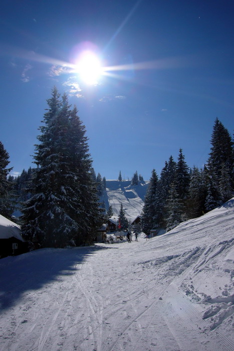 19. Februar 2009
