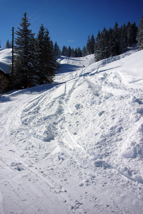 19. Februar 2009
