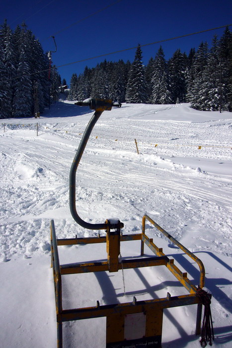 19. Februar 2009
