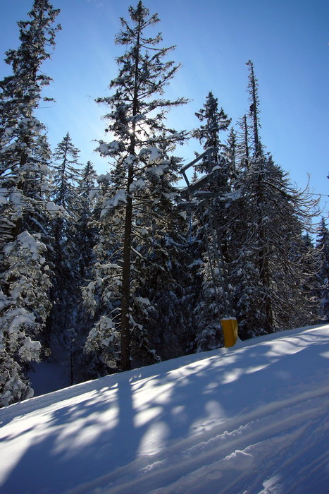 Winter wonderland!
