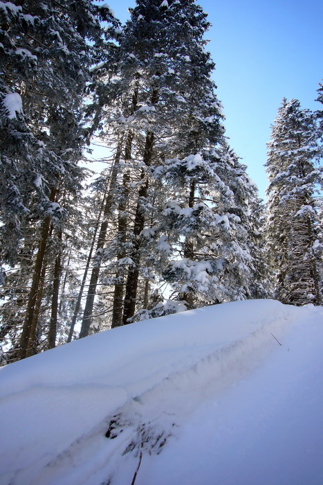 19. Februar 2009
