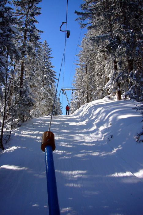 19. Februar 2009
