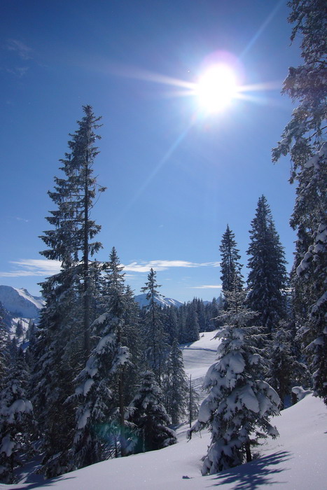 19. Februar 2009
