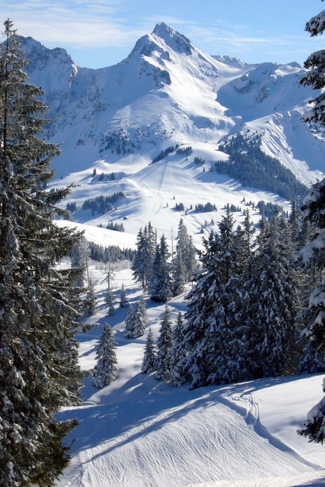 Blick zum Skilift beim Schwefelbergbad
