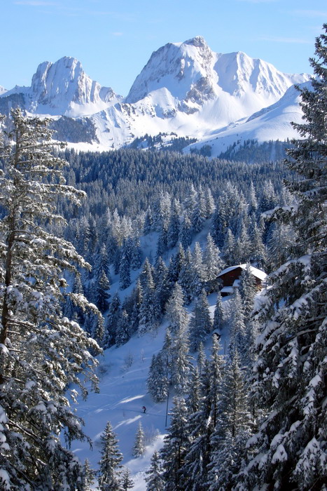 19. Februar 2009
