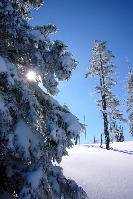 19. Februar 2009
