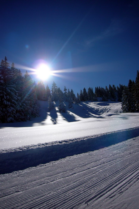 19. Februar 2009
