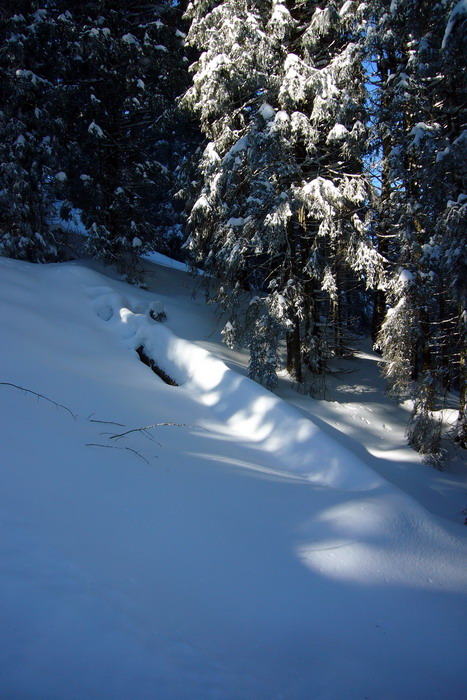 19. Februar 2009
