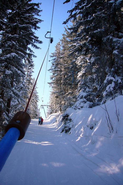 19. Februar 2009
