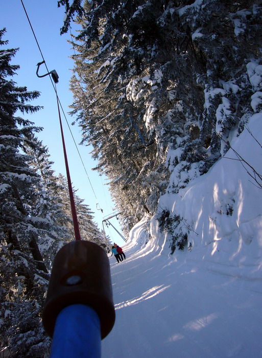 19. Februar 2009
