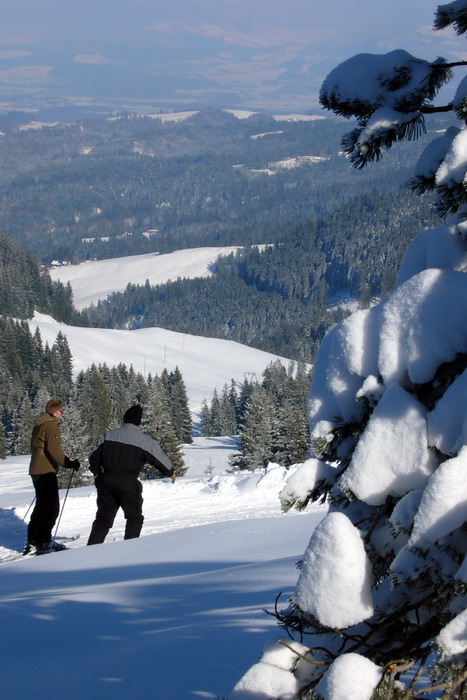 19. Februar 2009
