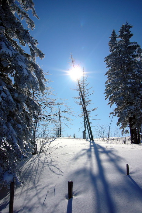 19. Februar 2009
