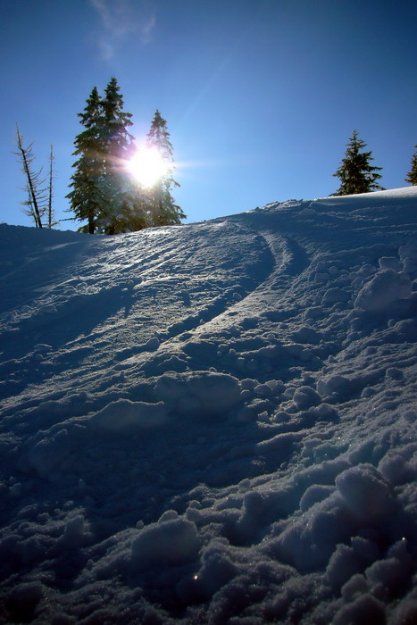 19. Februar 2009
