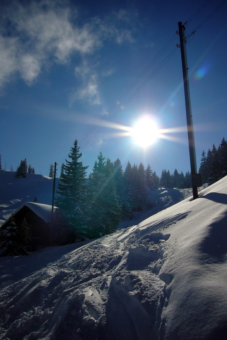 19. Februar 2009
