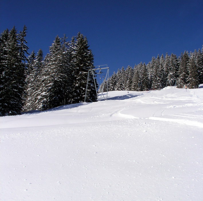 19. Februar 2009
