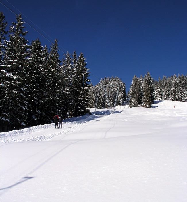 19. Februar 2009
