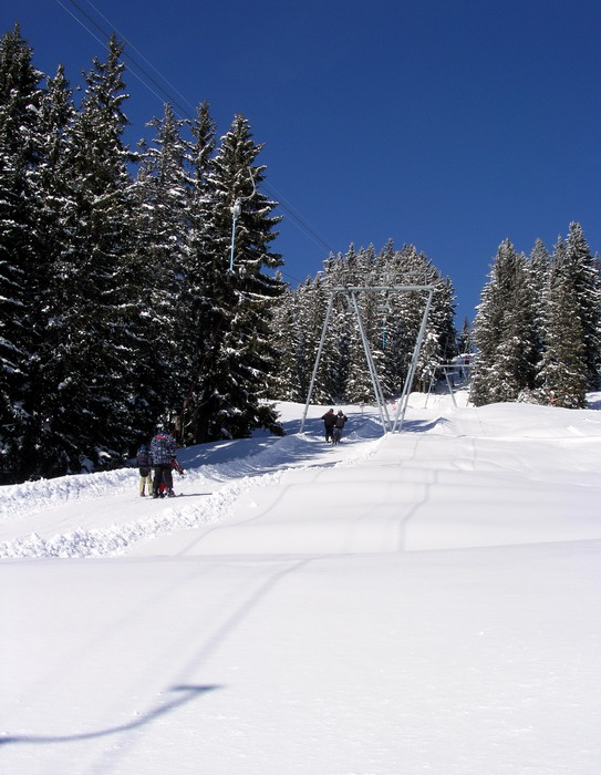 19. Februar 2009
